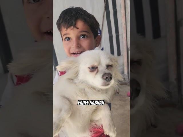 اطفال يلعبون مع الكلاب ويقبلوها 