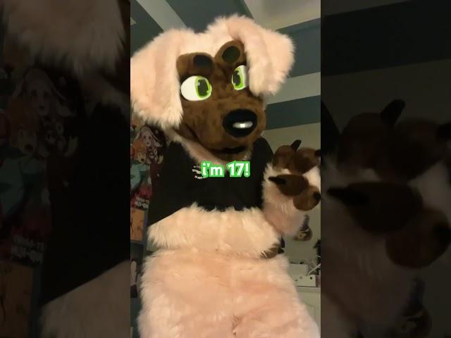 FAQ!!!! XP #fursuit #furries #therian #antizoo #furry #scene