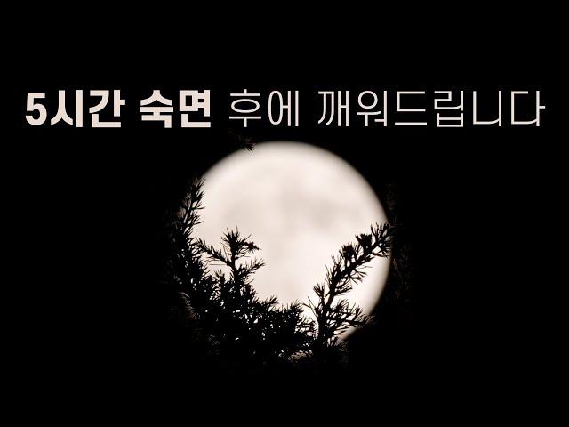 나도 모르게 잠드는 수면 유도 명상 | 5시간 숙면 가이드 | 불면증 해소 · 잠 오는 영상 · 이완명상 | 요가소년 451