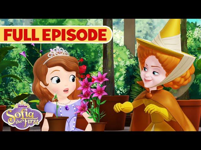 Make Way for Miss Nettle | S1 E16 | Sofia the First | Full Episode | @disneyjr