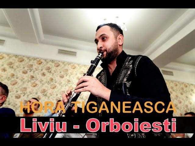 HORA TIGANEASCA la Clarinet si Acordeon-Liviu de la Orboiesti hora tiganeasca originala 2010