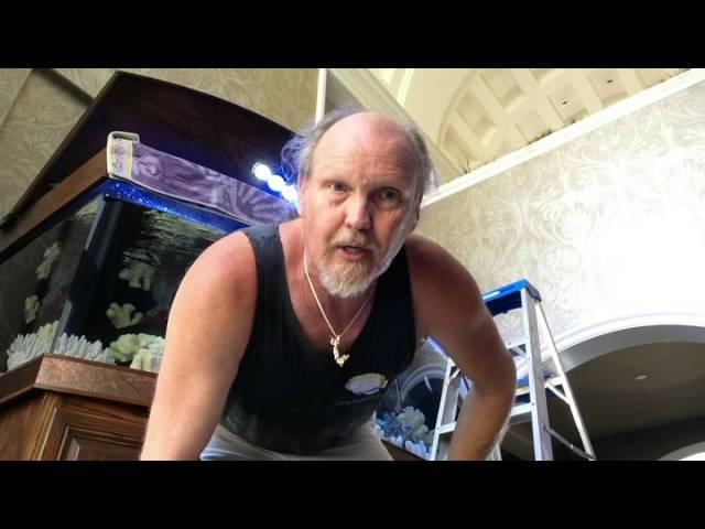 Ick Saltwater Parasites LA Fishguys Episode 137, part 2