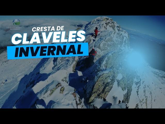 CRESTA de CLAVELES INVERNAL - PEÑALARA