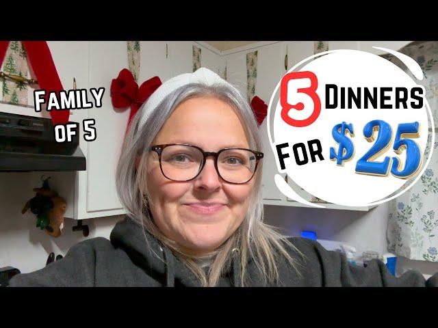 $25 Grocery Budget Feeds My Family Of 5 Dinner For 5 Nights || Cheap Meals