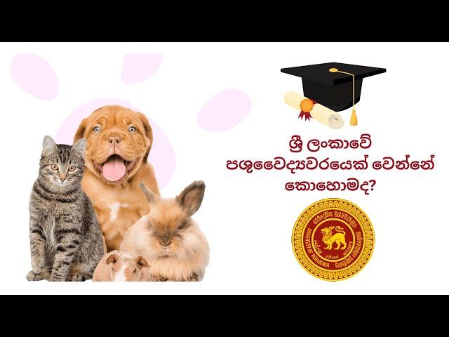 How to become a veterinarian in Sri Lanka?