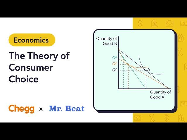 The Theory of Consumer Choice Ft. Mr. Beat