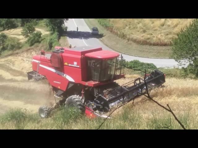 Trebbiatura grano e trasporto del raccolto