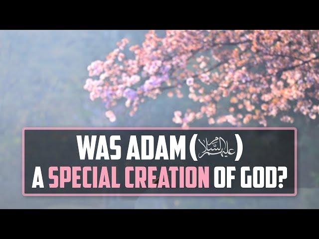 Was Adam a special creation of God? Prof El-Tobgui gives his view