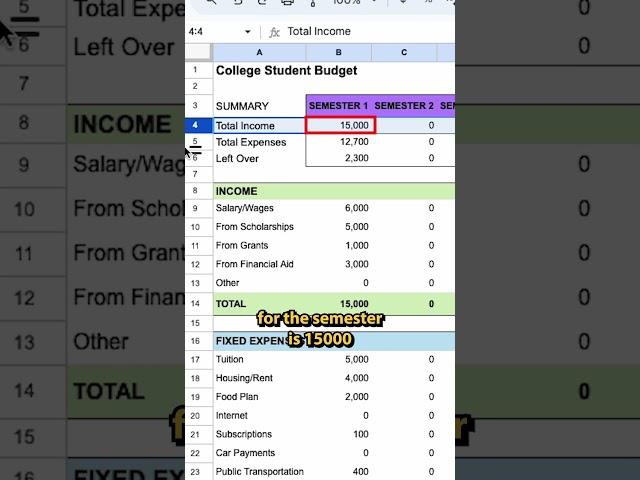 How to budget as a full time college student