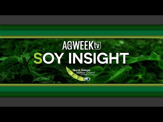 Soy Insight