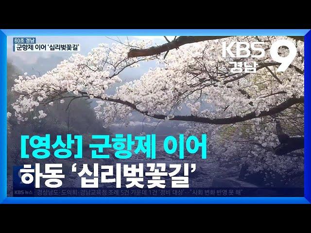 [60초 경남] 군항제 이어 하동 ‘십리벚꽃길’ / KBS  2023.03.31.