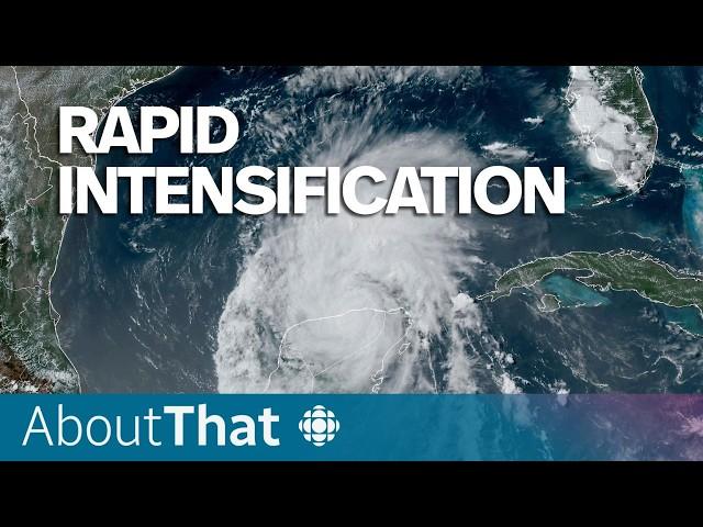 Hurricane Beryl shocked scientists. Why that's a bad sign for the season | About That