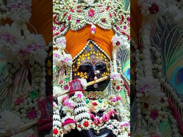 Shree Radha Vallabh Ji Darshan #vrindavan #shridhamvrindavan #radhavallabh #vrindavanmarg