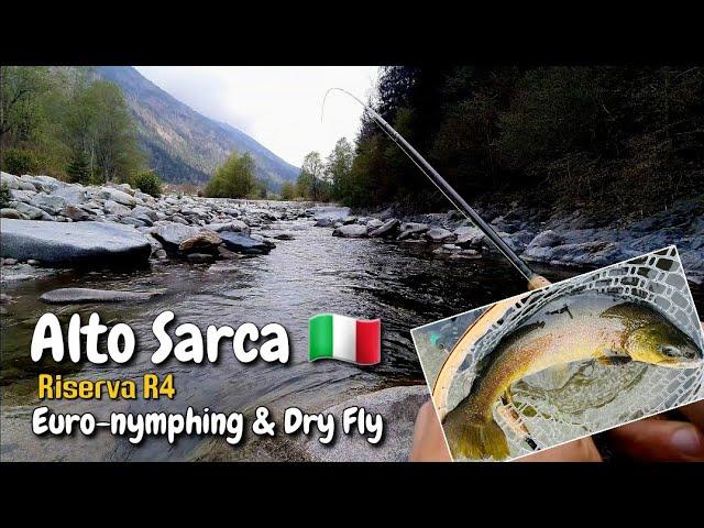 Fly fishing in Trentino | Alto Sarca | Riserva R4 | Euro-nymphing & Dry Fly |     Marble trout