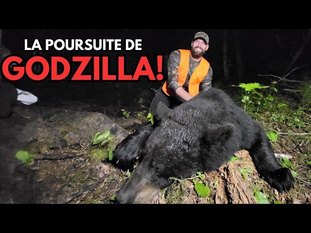 Chasse à l'ours noir en Outaouais - Chasser, Cuisiner, Manger