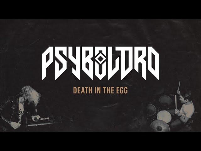 Psybolord - Death in the Egg - Noise/Rumble: Live Session