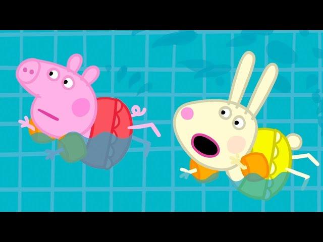 Peppa Pig Français  Tous à la piscine !  Épisodes Complets | Dessin Animé Pour Bébé