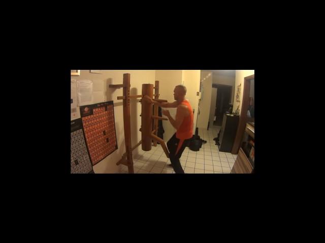 WU WEI WING TZUN - free flowing technics - Sifu Senz 2015