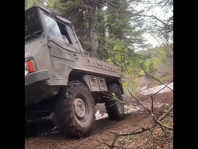 Pinzgauer 710M rolling on 35X10.50R16 Badak X-Treme Radials.