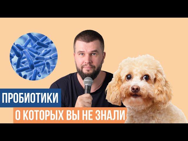 2 новых пробиотика для собак