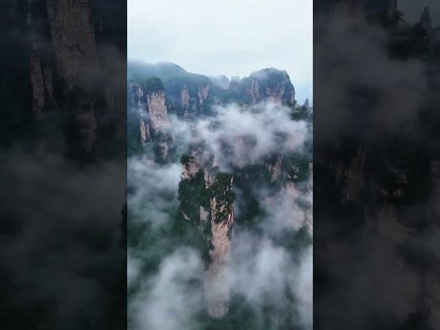 장가계 자유여행#판다투어 #travel #장자제 #장가계노쇼핑#장가계노옵션