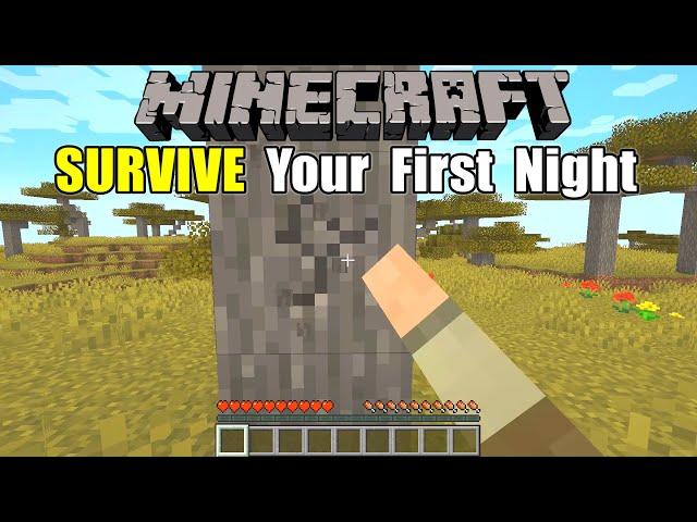 Minecraft How to Survive Your First Night - Survive & Thrive 2024 - EP 1