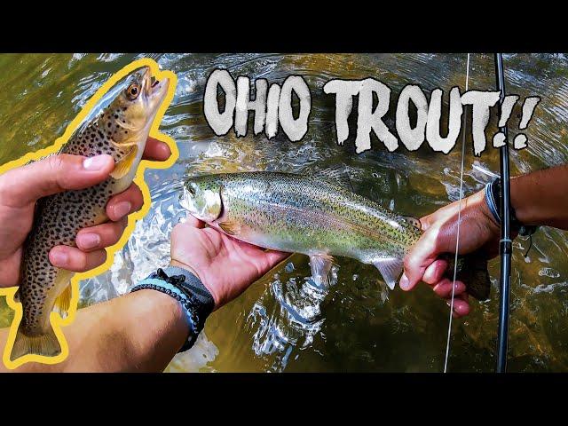 Ohio Trout Fishing! (Clear fork, Mohican)