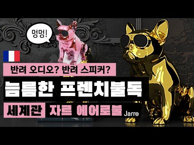 '자르 에어로불' - 프랑스 오디오 브랜드, 이 세상 힙함이 아니다. ｜jarre technology (불독 bulldog) 세계관