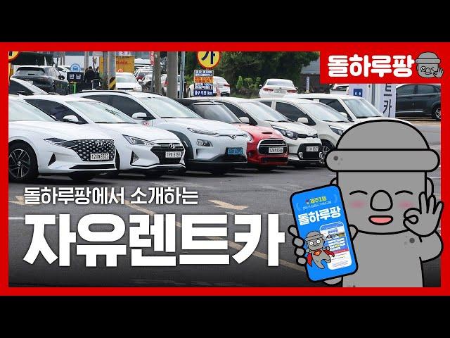 [제주렌트카] 안전한 예약은 돌하루팡! 안전한 렌터카는 자유렌트카!