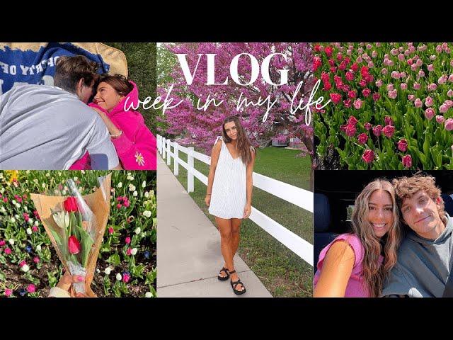 WEEKLY VLOG: tulip festival, scrapbook update, game night, spray tan & more! 