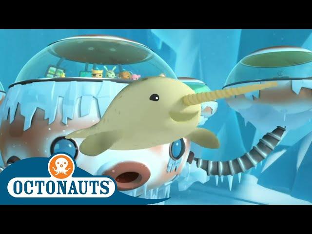 Octonauts - Journey Through the Ice | Cartoons for Kids