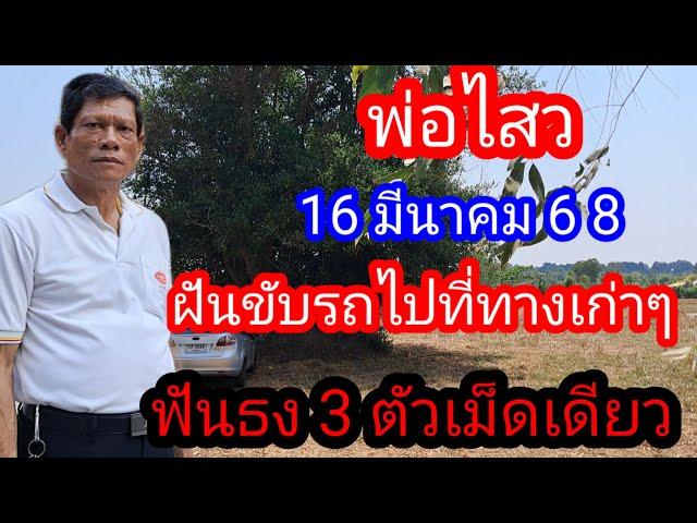 8..พ่อไสวฟันขับรถไปทางเก่าฟันธง 3 ตัวเม็ดเดียว