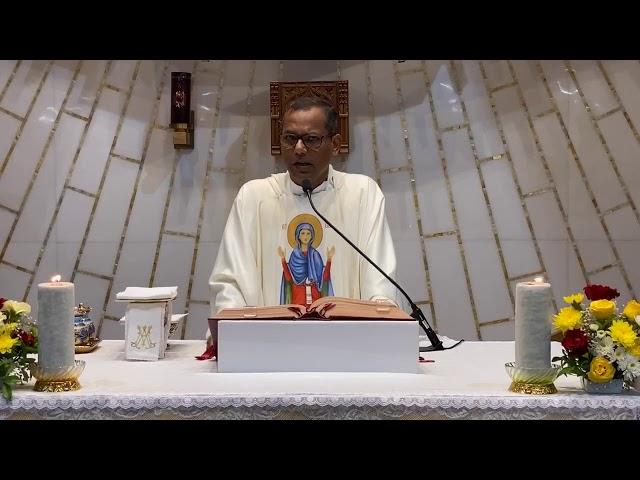 Homily | Feast of the Nativity of the Blessed Virgin Mary