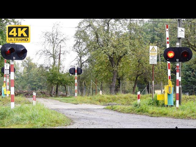 Railroad Crossing FREIGHT Trains #1 | COMPILATION 4K