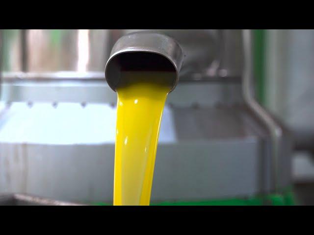 How It's Made Olive Oil