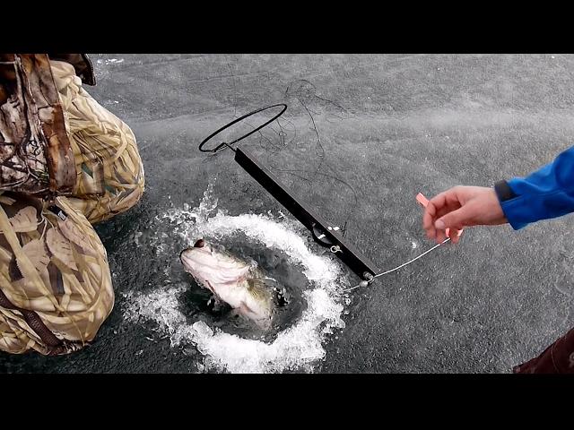 Big Bass THROUGH THE ICE ft. Andrew Flair | Ice Fishing VLOG