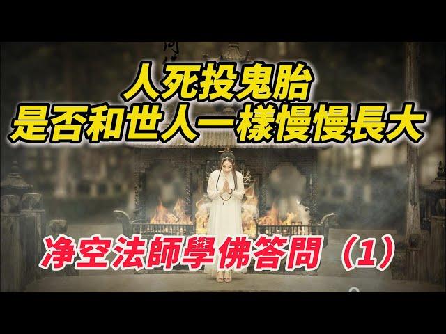 人死投鬼胎，是否和世人一樣慢慢長大？眷屬在陽世祭祀，亡者是否知道？他的靈魂還能來嗎？净空法師佛學問答（1）