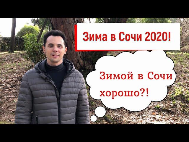 Зима в Сочи 2020! В Сочи зимой хорошо? Погода в Сочи. Отдых в Сочи!