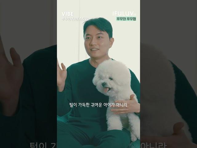 푸우형 비긴즈! 푸우형의 탄생기를 들어보다! [IFULUV이퓨럽] VIBE - EP06 푸우형 그리고 푸우 #푸우형 #강아지 #반려동물 #반려견 #이퓨럽 #이퓨럽바이브