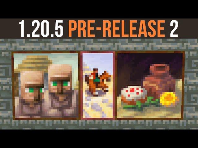 Minecraft 1.20.5 Pre-Release 2 & Experimental Paintings News!