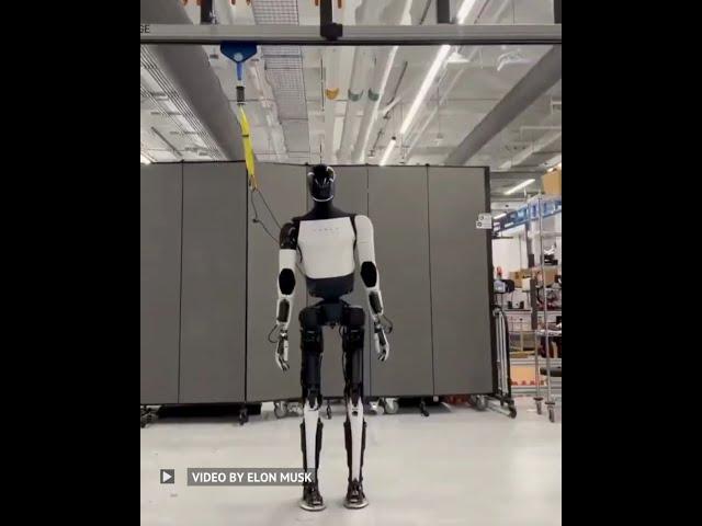 Elon Musk shares a new video of Tesla Optimus robot