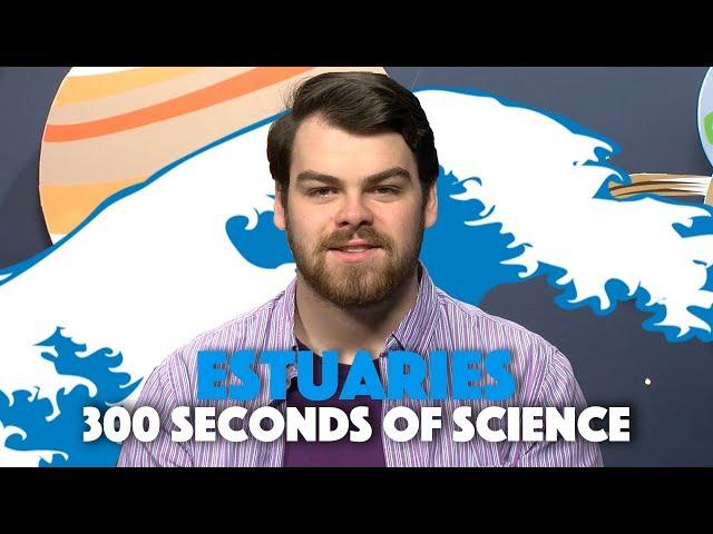 What Are Estuaries? | 30 Seconds of Science