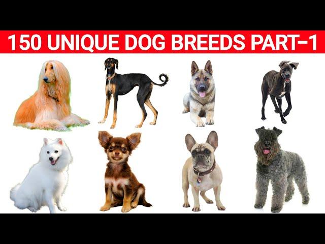 150 Unique Dog Breeds Worldwide | Part 1