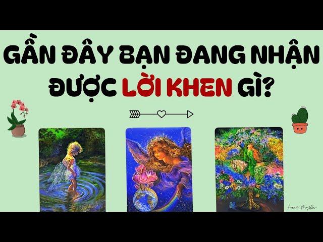 Gần đây bạn nhận được những lời khen gì?🪻- Chọn tụ bài (Timeless)