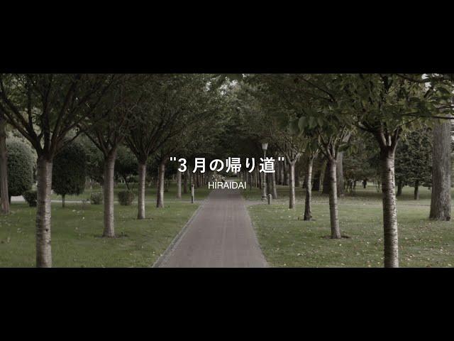 平井 大 / 3月の帰り道（Lyric Video）