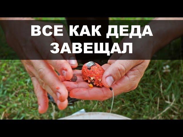 Если карп не клюет! Секретная наживка дедов! Как ловить карпа.