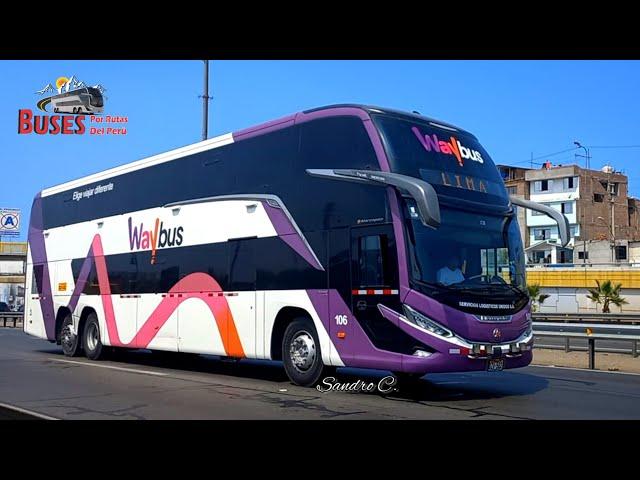 Buses del sur del Perú.