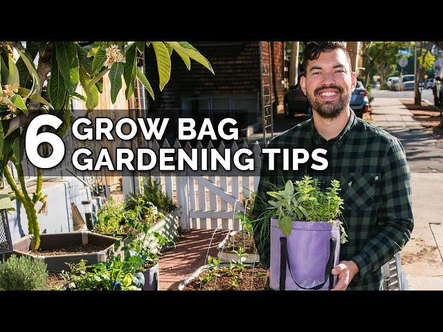 6 Secret Grow Bag Techniques to Maximize Your Results