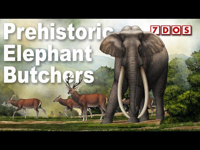 Ancient Humans Butchered Giant Elephants 300,000 Years Ago | 7 Days of Science