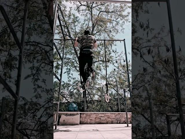 Muscle up and pull ups mpolypragmon